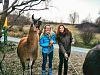 Feiere mit Lamas im Südburgenland